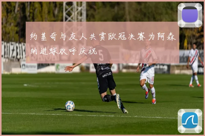 约基奇与友人共赏欧冠决赛为阿森纳进球欢呼庆祝